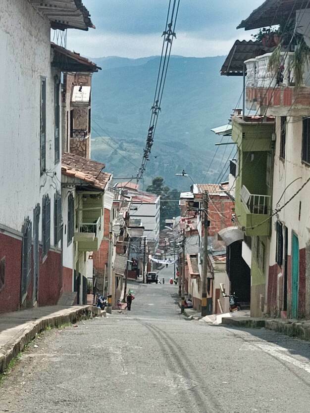 katu yarumal kolumbia