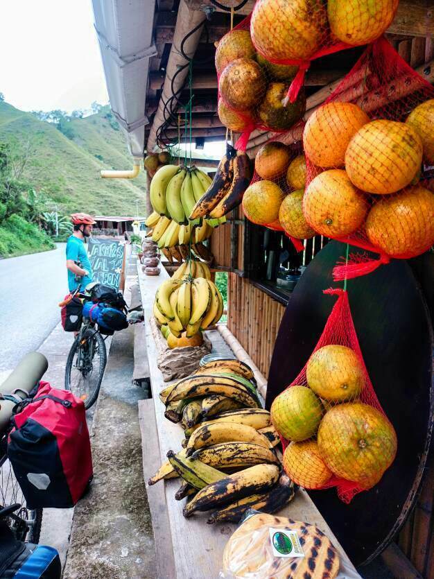 kolumbialaisia hedelmiä